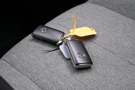 Vehicle Image 22