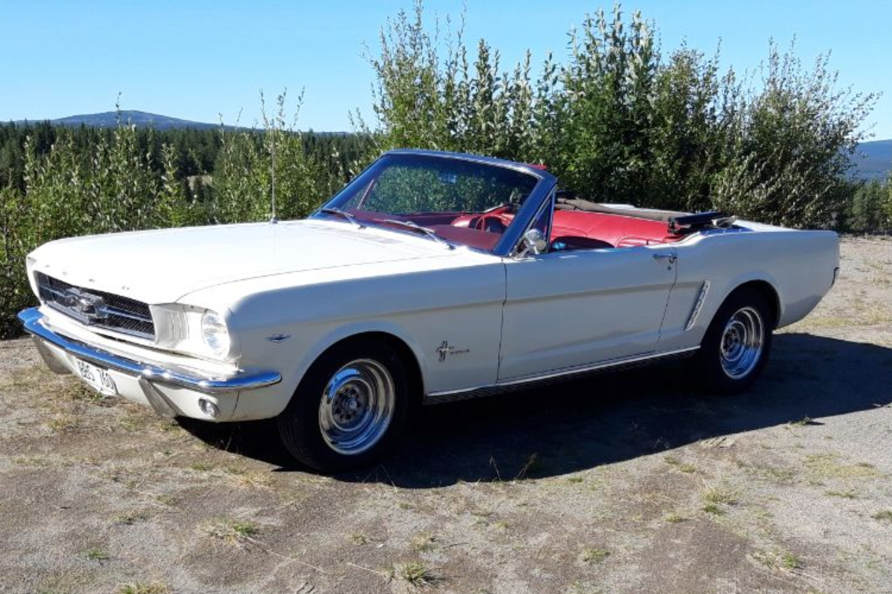 Vehicle Image 80