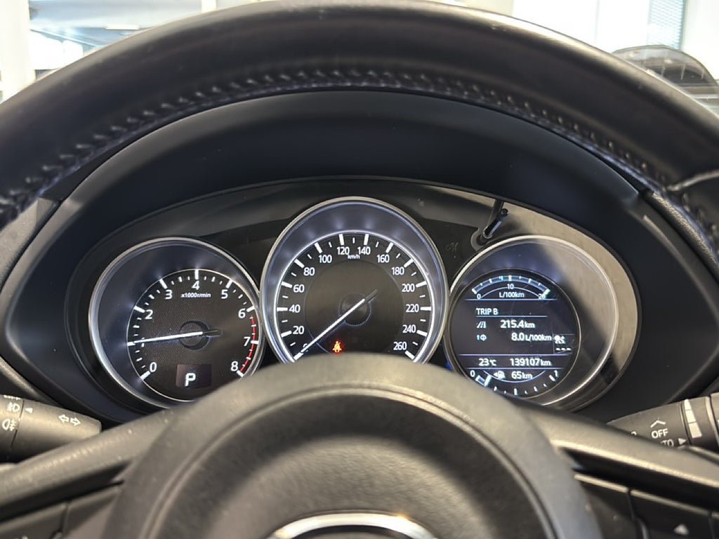 Vehicle Image 17