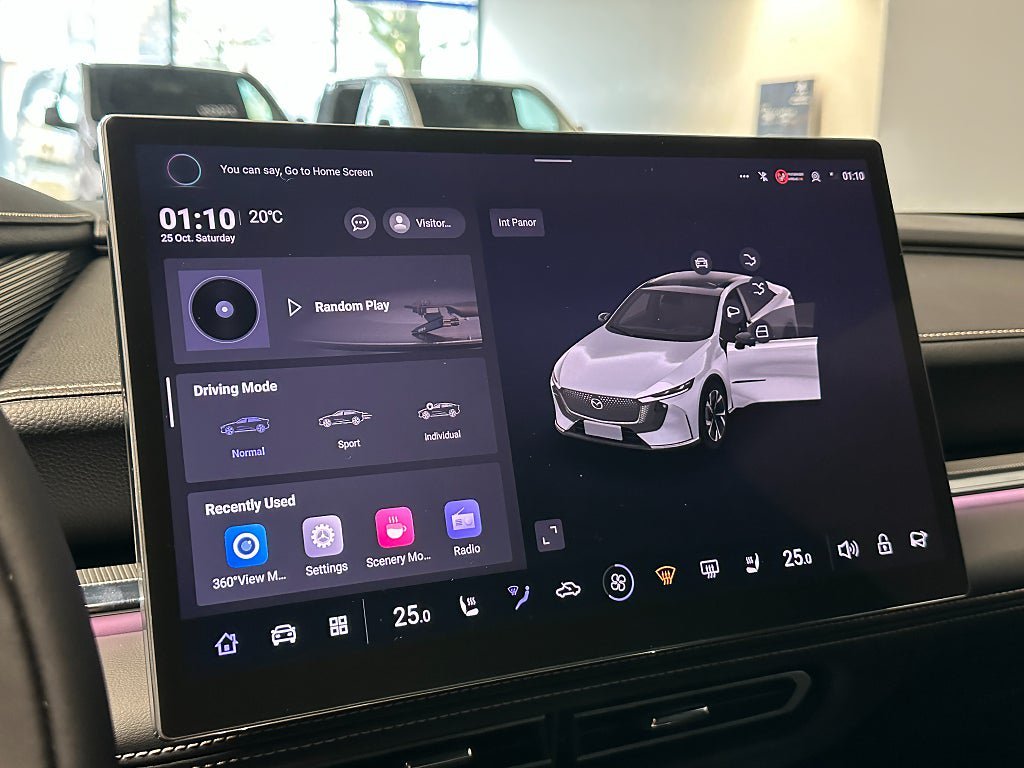 Vehicle Image 12