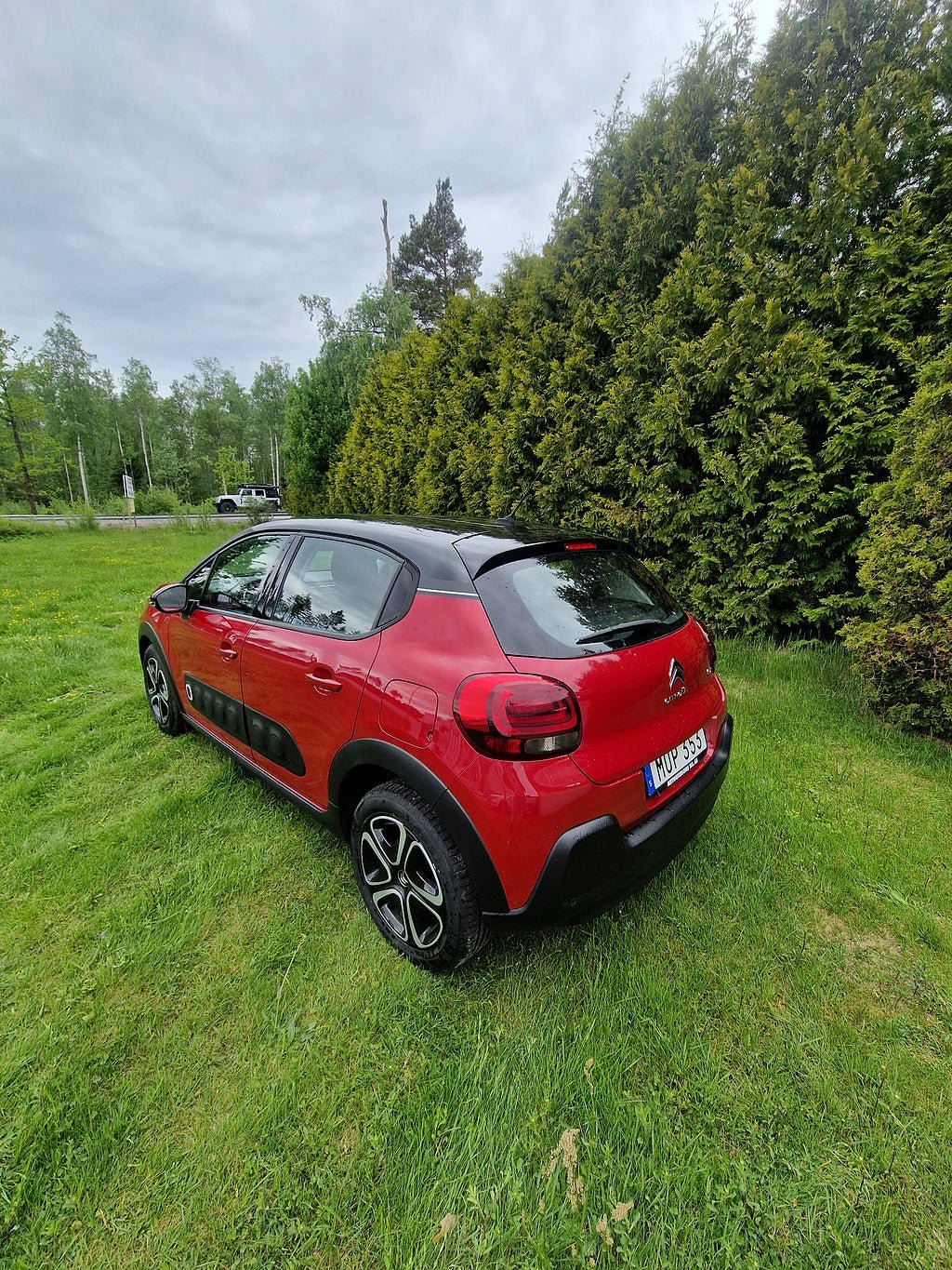 Vehicle Image 8