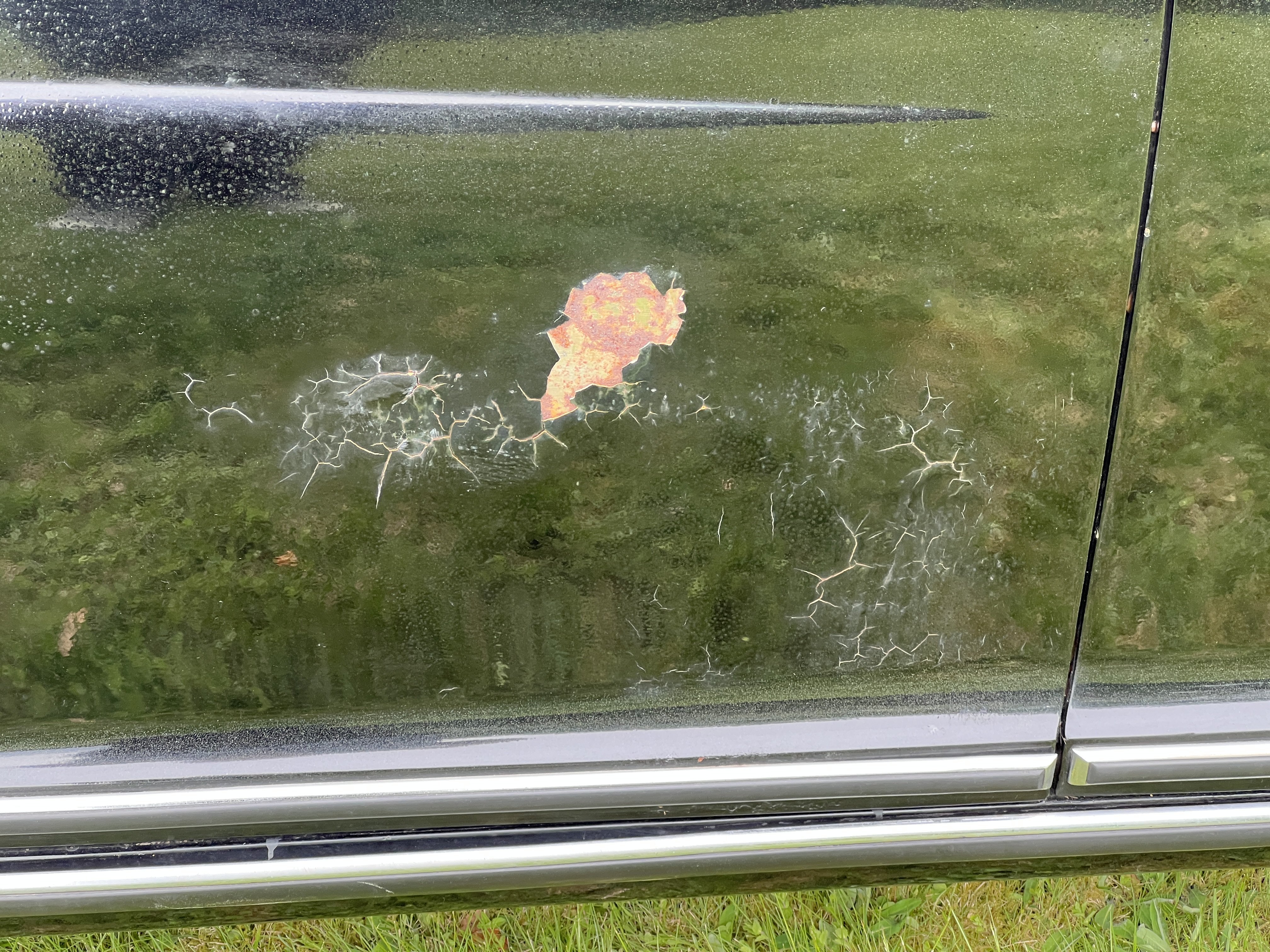 Vehicle Image 80