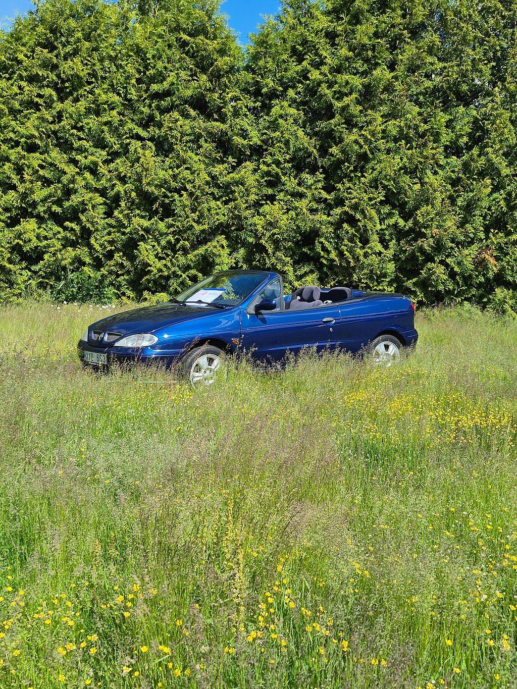 Vehicle Image 13