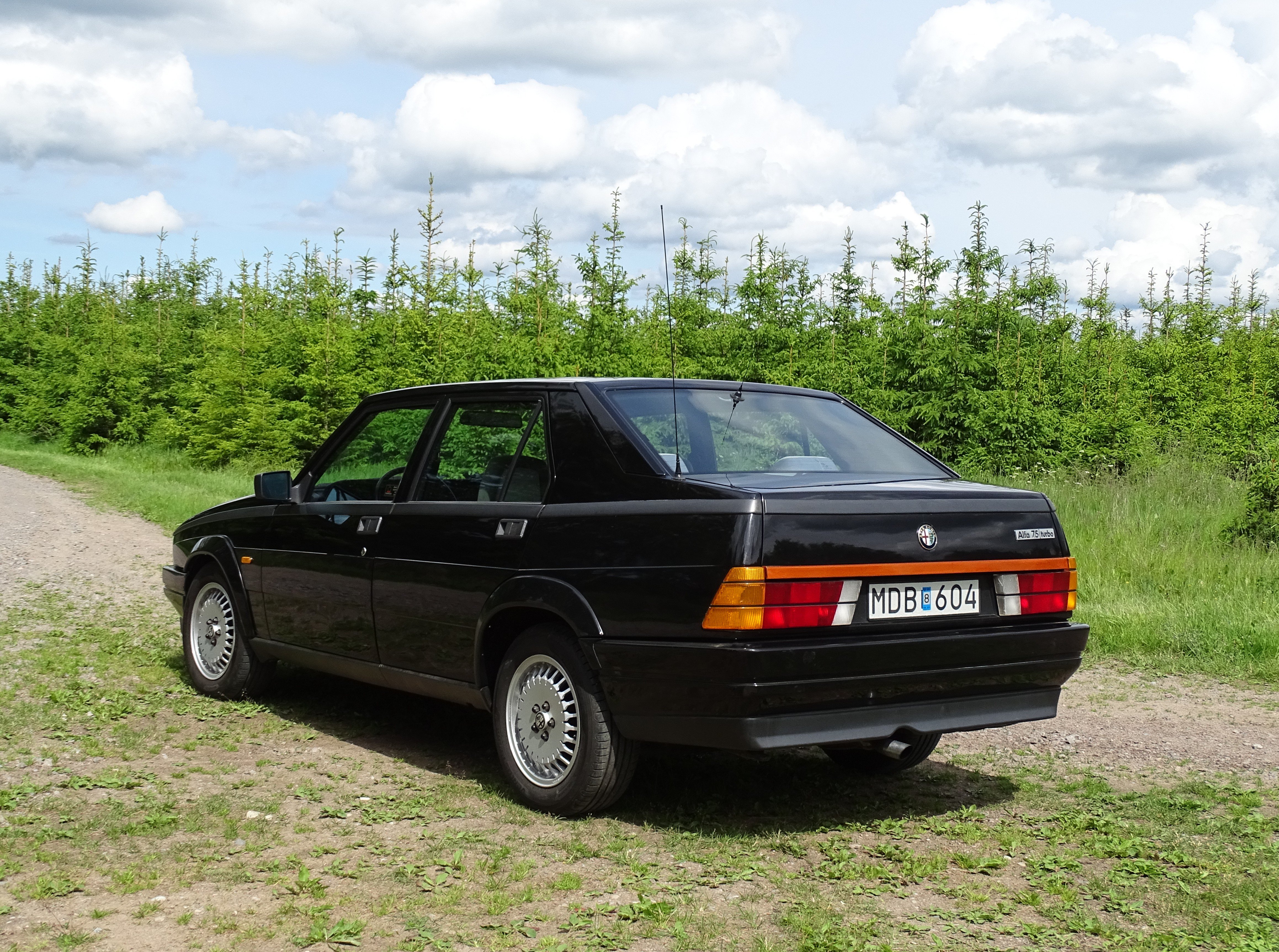 Vehicle Image 34
