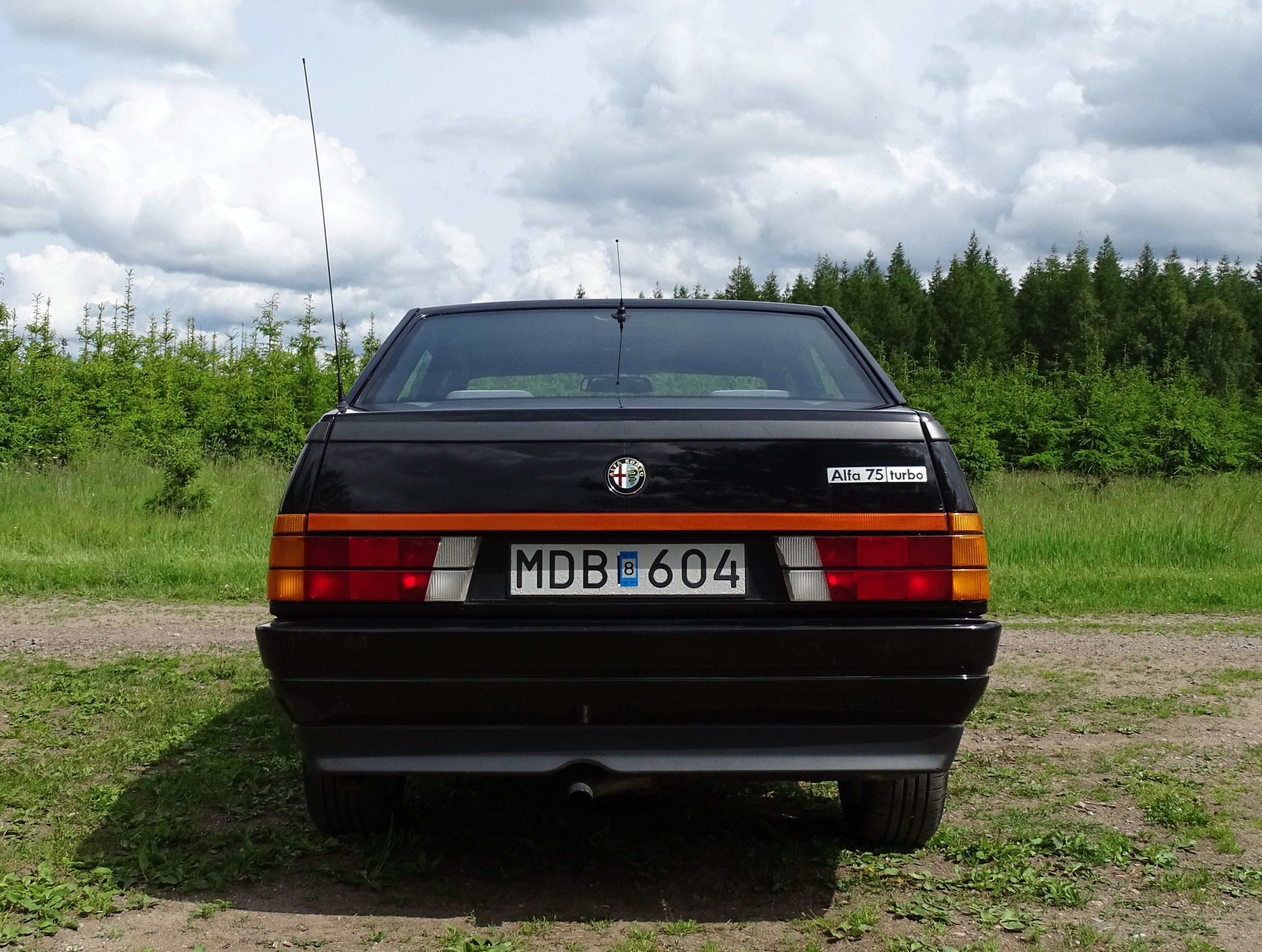 Vehicle Image 45