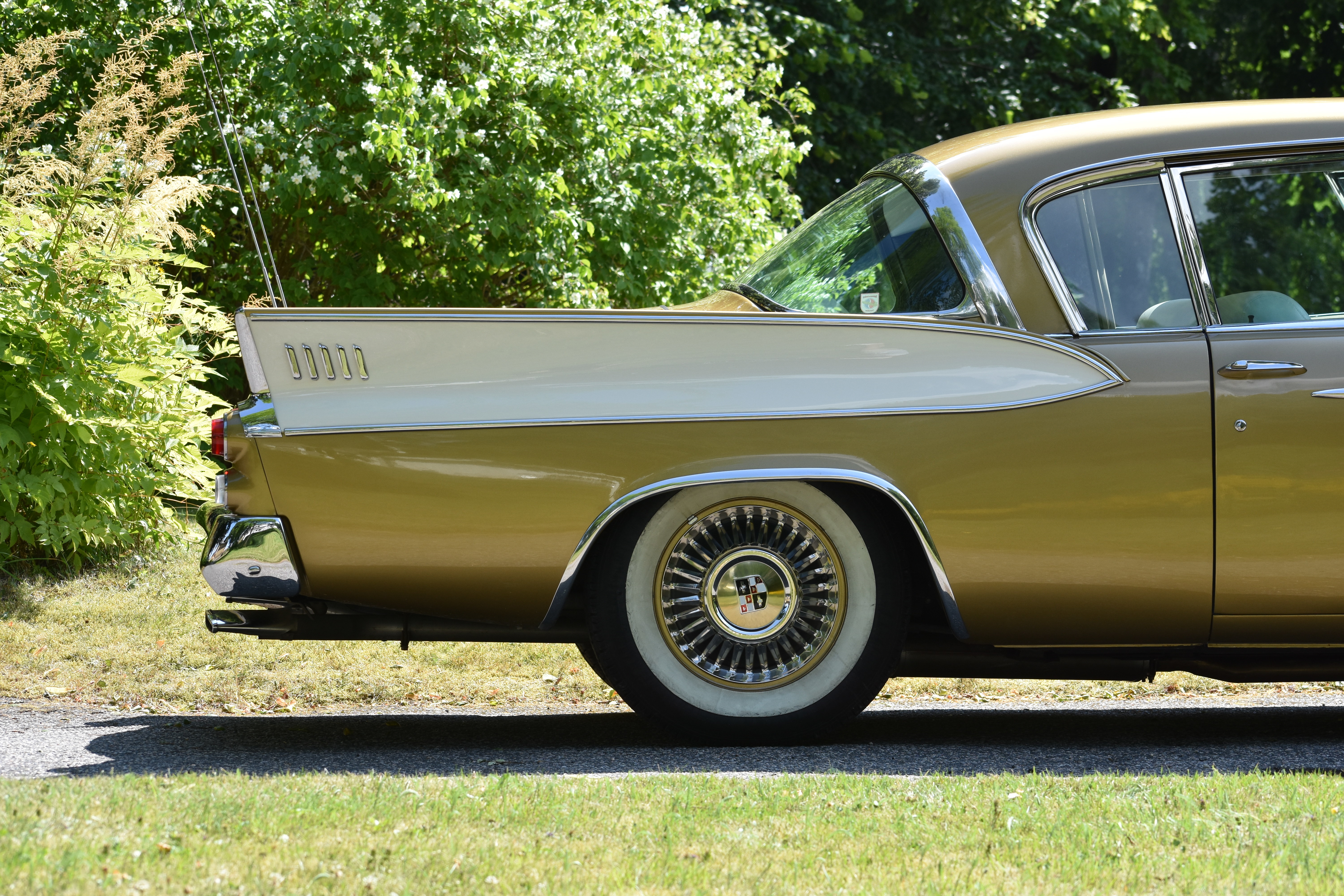 Vehicle Image 101
