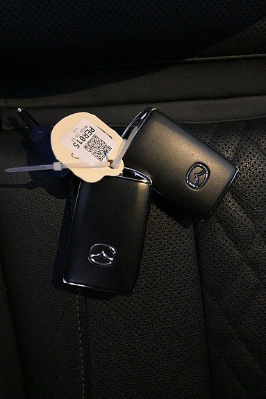 Vehicle Image 19