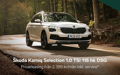Skoda Kamiq Selection TSi 116 DSG Leasing 2025